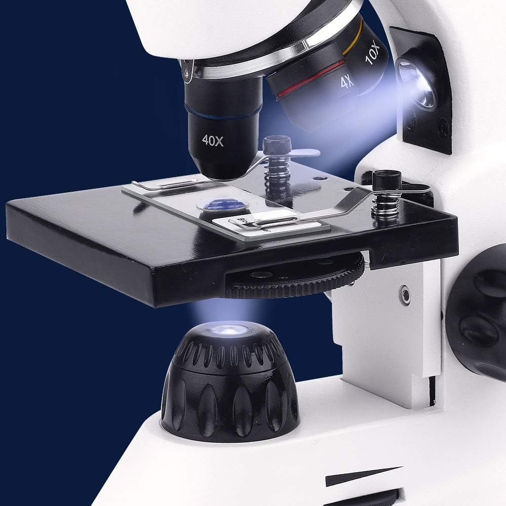 40X-2000X microscoop voor kinderen en professionals met dubbele LED-verlichting en variabele vergroting