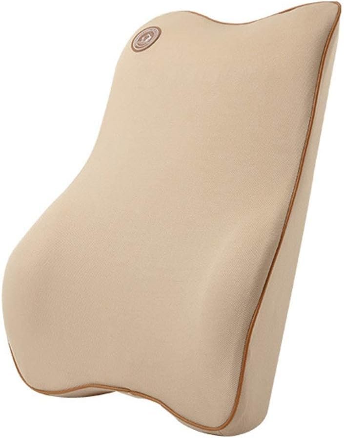 Ergonomisch lendenkussen met acupressuur en kokosvezel voor rugsteun en ischias