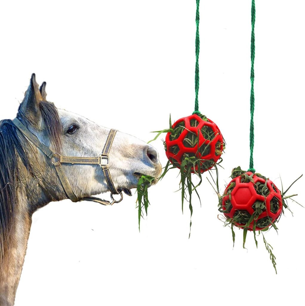 Voederstation voor paarden en geiten met voerbal voor stressvermindering