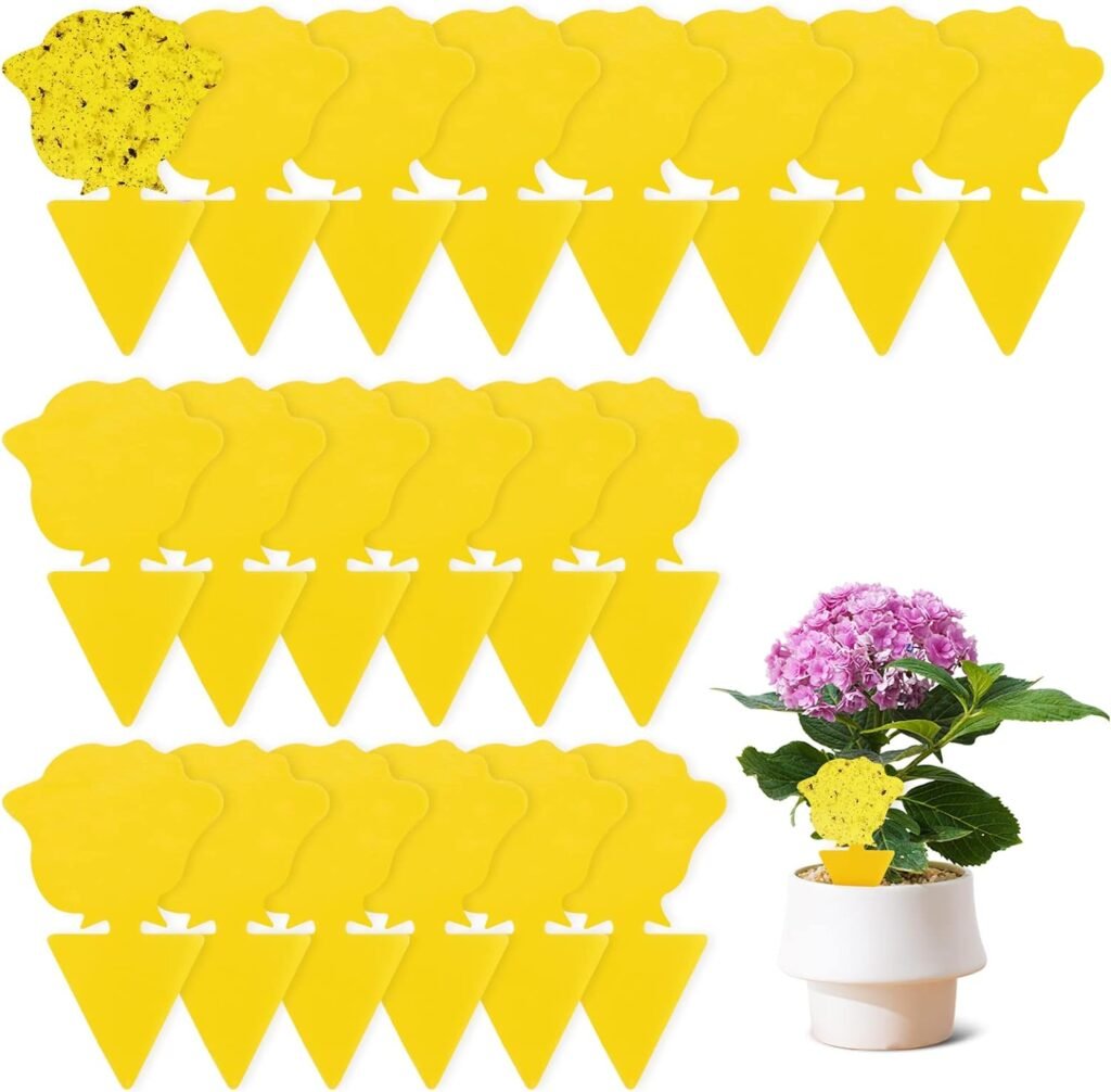 Fruitvliegenval voor kamerplanten 20 stuks