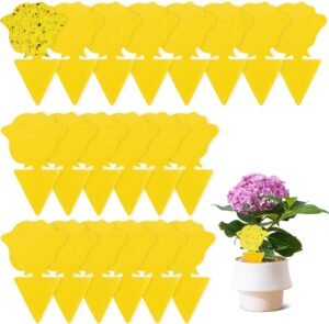Fruitvliegenval 20 Stuks – Insectenval voor Kamerplanten – Ongediertebestrijding – Milieuvriendelijke Vliegenvallen