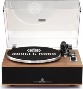 Platenspeler met Hoorn – Bluetooth Vinyl Speler met Hifi Speakers – Ingebouwde Phono Voorversterker – 33/45 RPM
