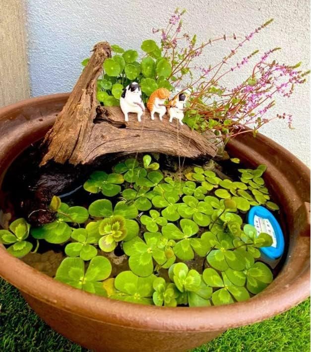 Miniatuur aquariumdecoratie set voor zoet- en zoutwateraquaria