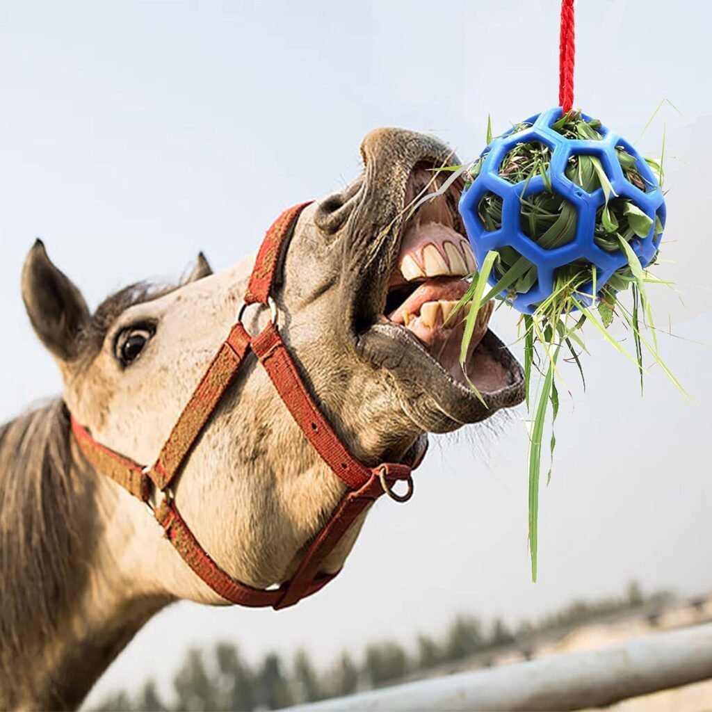 Voederstation voor paarden en geiten met voerbal voor dierenverrijking en stressvermindering