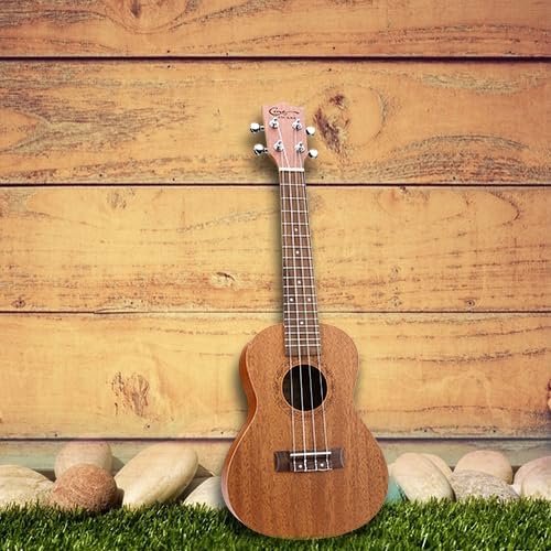 Concert ukulele 23 inch met nylon snaren, draagtas en schoonmaakdoek voor beginners en kinderen