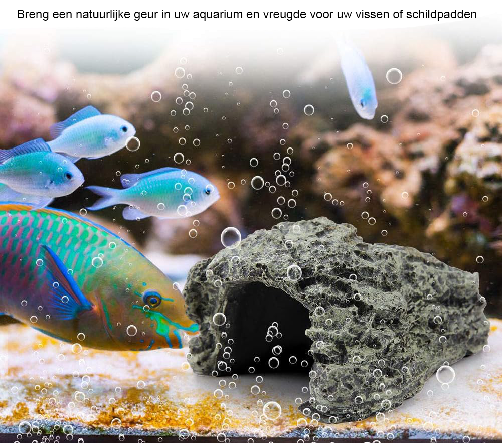 Schuilplaats voor reptielen en schildpadden in een terrarium
