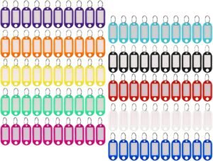 Sleutelhangers met Beschrijfbare Labels en USB-Sticks – Sleutelorganizers en Dataopslag – Sleutelidentificatie en Geheugenopslag – Set van 100
