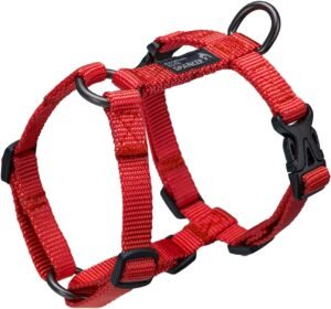 Kattenharnas Verstelbaar en Anti-Trek – Comfortabel Wandelharnas voor Kittens en Katten – Veiligheidsharnas voor Wandelen en Training – Rood